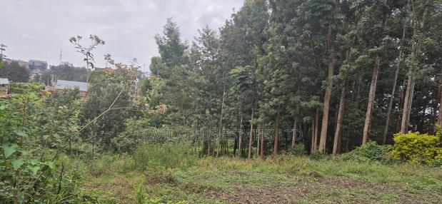 Ruaka Prime Land – Two 1⁄4-acre Plots, Kes 38m Per Plot - main view