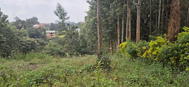 Ruaka Prime Land – Two 1⁄4-acre Plots, Kes 38m Per Plot - thumbnail 3