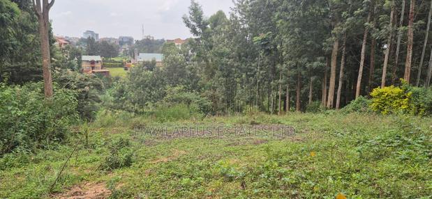 Ruaka Prime Land – Two 1⁄4-acre Plots, Kes 38m Per Plot - thumbnail 4