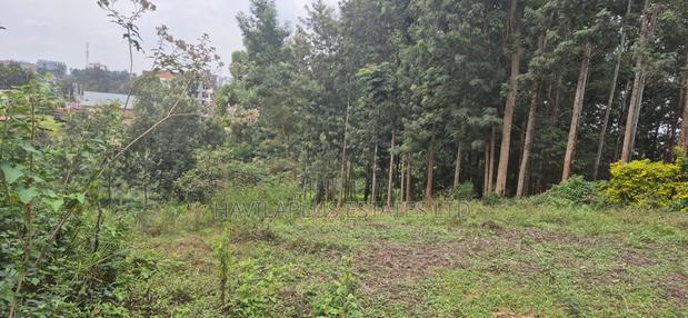 Ruaka Prime Land – Two 1⁄4-acre Plots, Kes 38m Per Plot - thumbnail 5