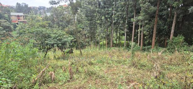 Ruaka Prime Land – Two 1⁄4-acre Plots, Kes 38m Per Plot - thumbnail 6