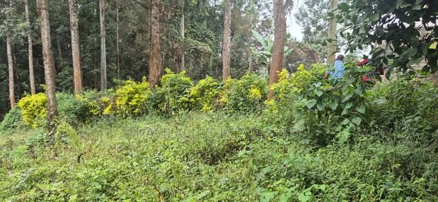 Ruaka Prime Land – Two 1⁄4-acre Plots, Kes 38m Per Plot - thumbnail 7