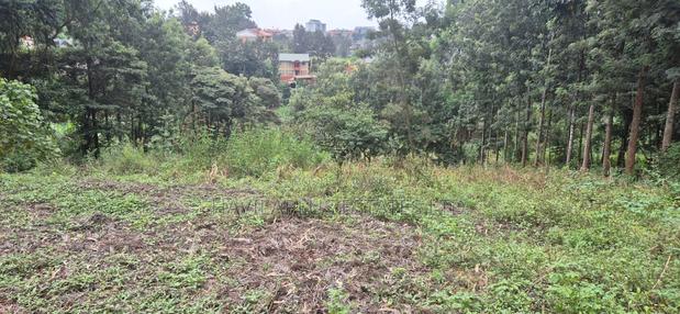 Ruaka Prime Land – Two 1⁄4-acre Plots, Kes 38m Per Plot - thumbnail 8