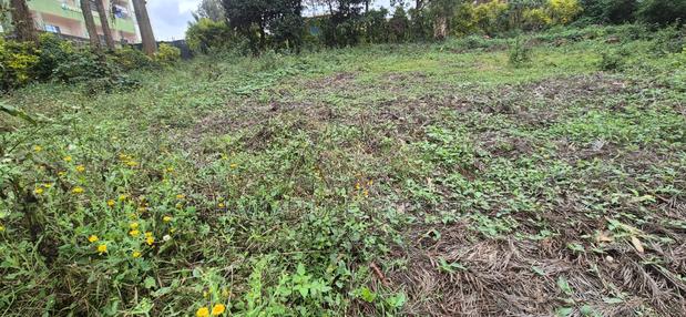 Ruaka Prime Land – Two 1⁄4-acre Plots, Kes 38m Per Plot - thumbnail 9