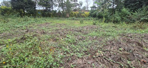 Ruaka Prime Land – Two 1⁄4-acre Plots, Kes 38m Per Plot - thumbnail 10