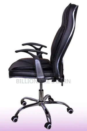 Office Chair; Executive Leather Home and Office Chair