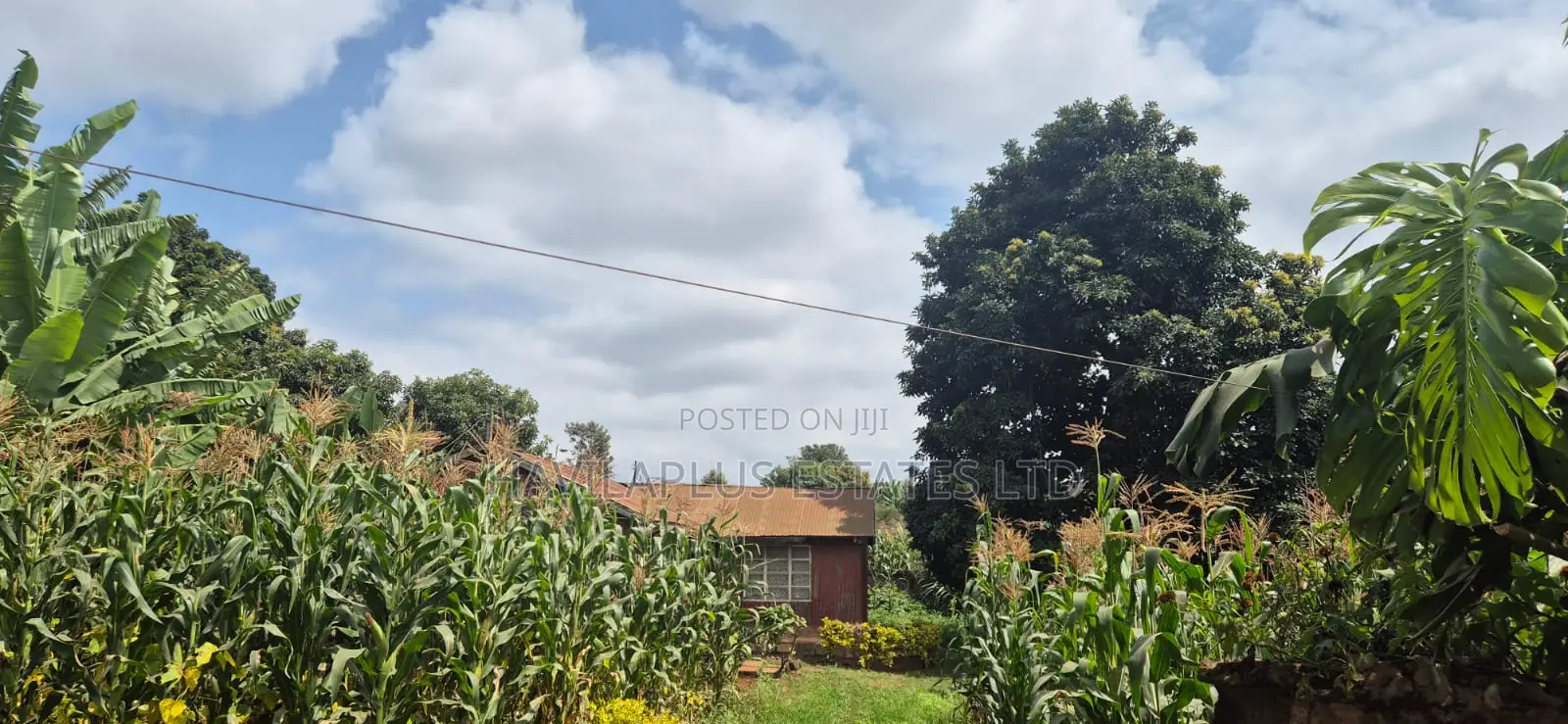 Prime 1⁄4-Acre Plot for Sale – Kabiria, Kes 15m