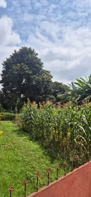Prime 1⁄4-Acre Plot for Sale – Kabiria, Kes 15m