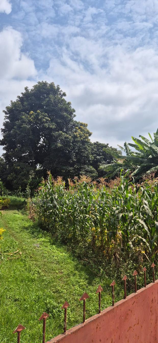 Prime 1⁄4-Acre Plot for Sale – Kabiria, Kes 15m - thumbnail 2