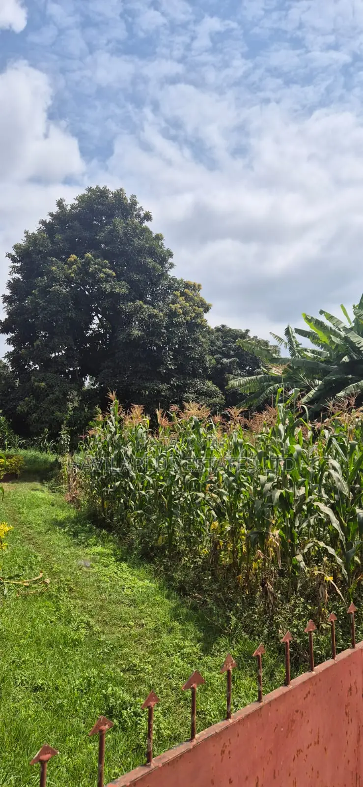 Prime 1⁄4-Acre Plot for Sale – Kabiria, Kes 15m