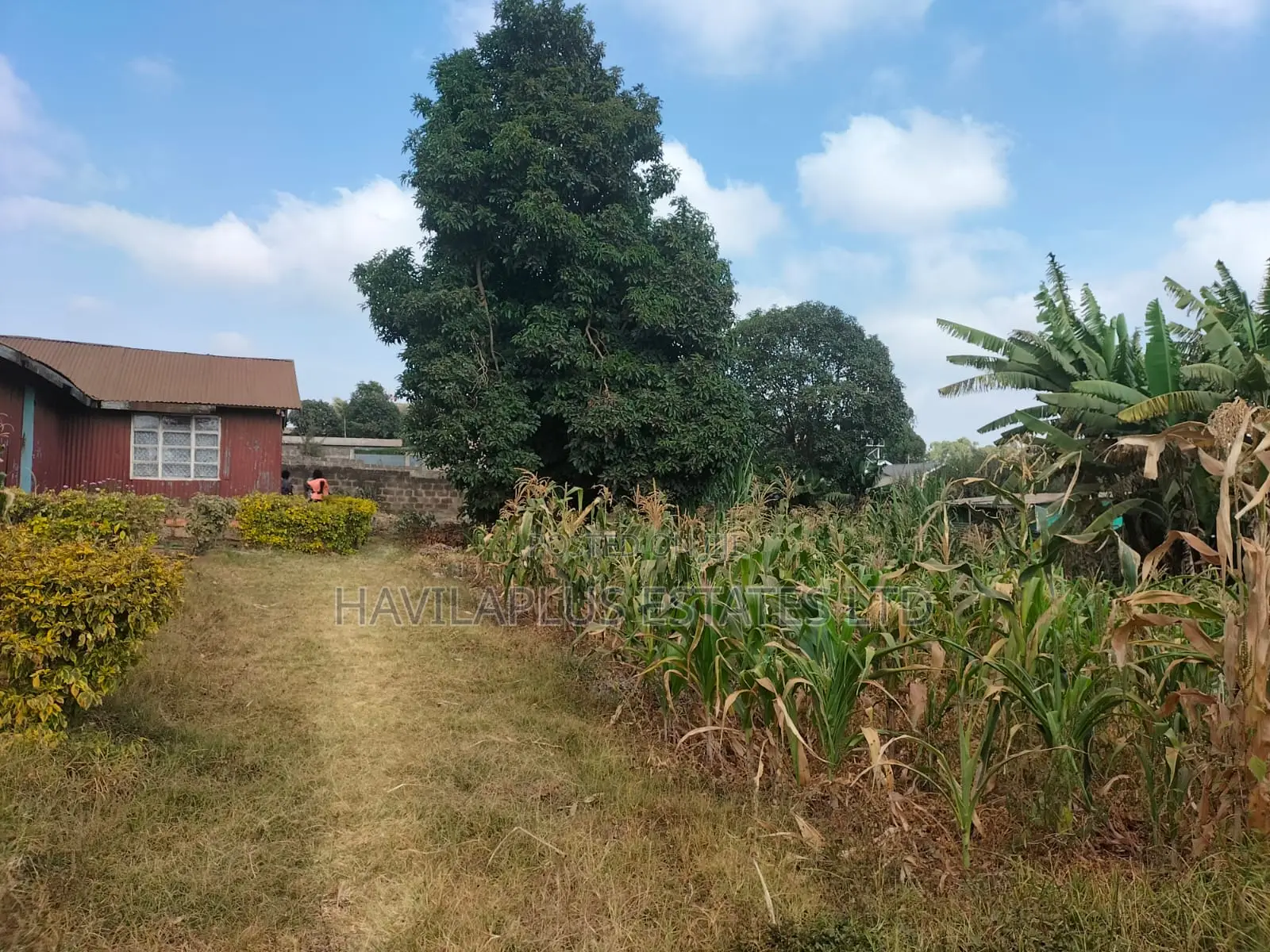 Prime 1⁄4-Acre Plot for Sale – Kabiria, Kes 15m