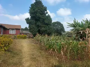 Prime 1⁄4-Acre Plot for Sale – Kabiria, Kes 15m