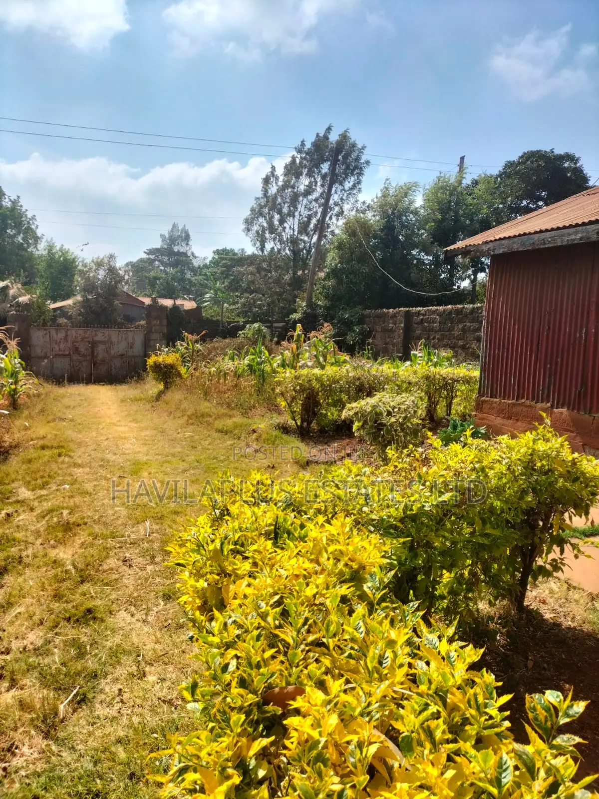 Prime 1⁄4-Acre Plot for Sale – Kabiria, Kes 15m