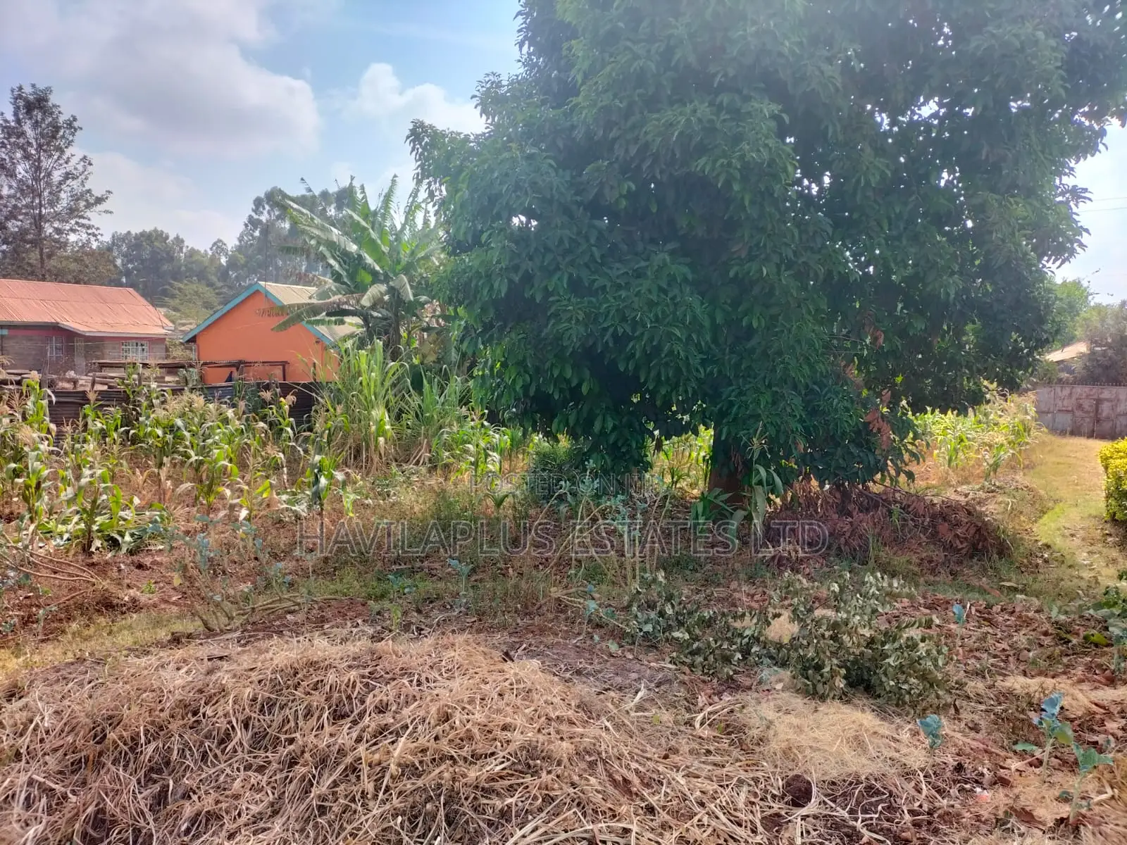 Prime 1⁄4-Acre Plot for Sale – Kabiria, Kes 15m