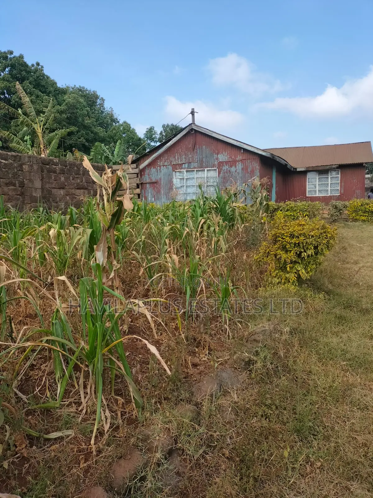 Prime 1⁄4-Acre Plot for Sale – Kabiria, Kes 15m