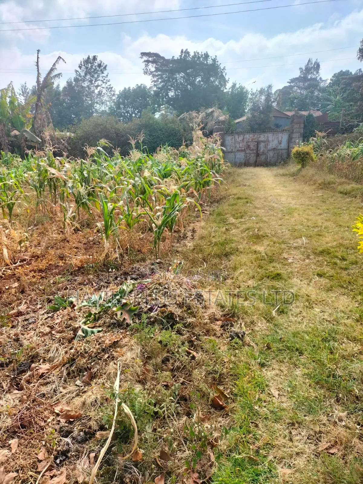 Prime 1⁄4-Acre Plot for Sale – Kabiria, Kes 15m