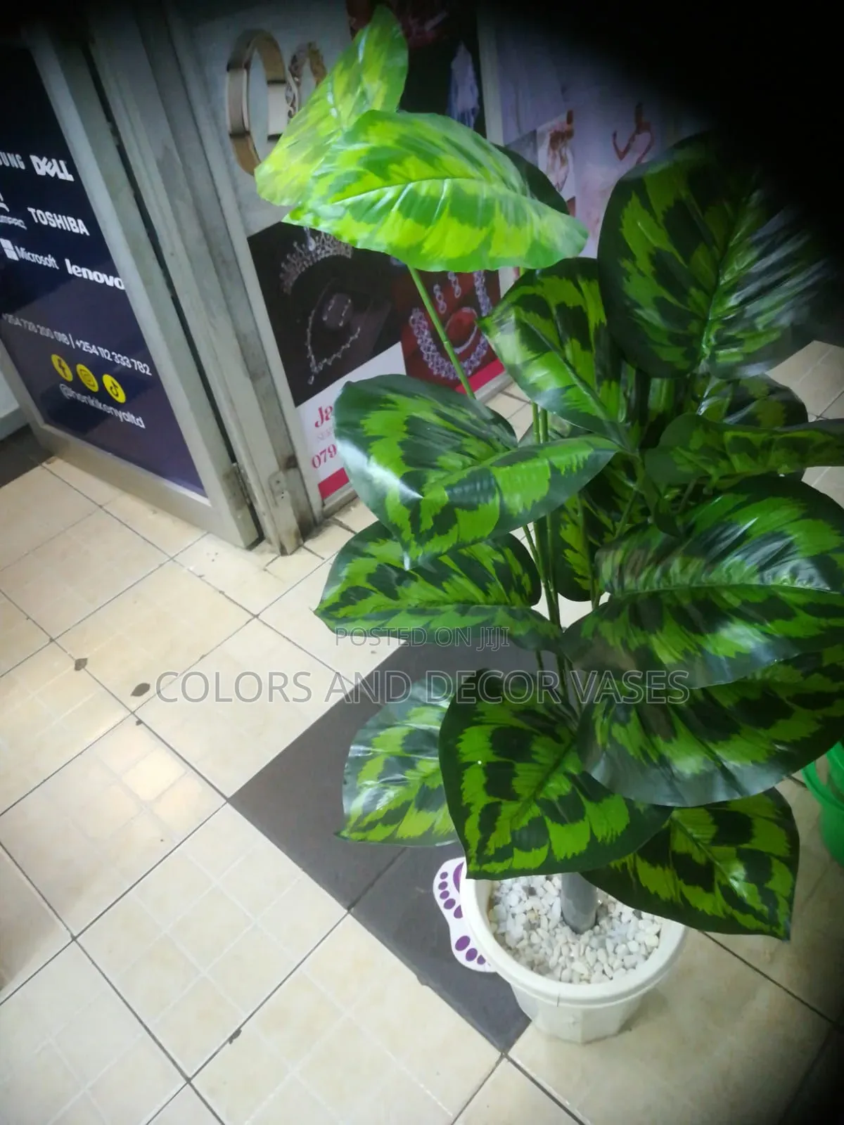 Office Plants 1.2m With Vase and Pebble Stones