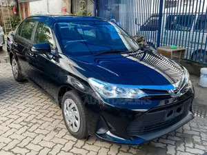 Toyota Axio 2018 Black