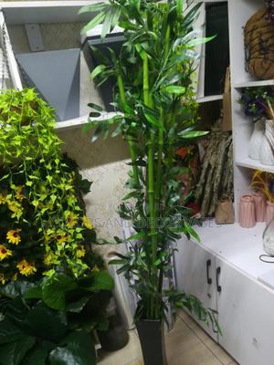 Long Bamboo Beautiful in Black Vase - thumbnail 2