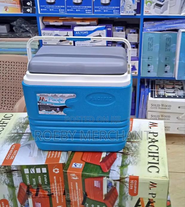 Modern Cooler Box 10l