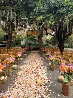 Dream Wedding Event Setup – We Bring the Magic