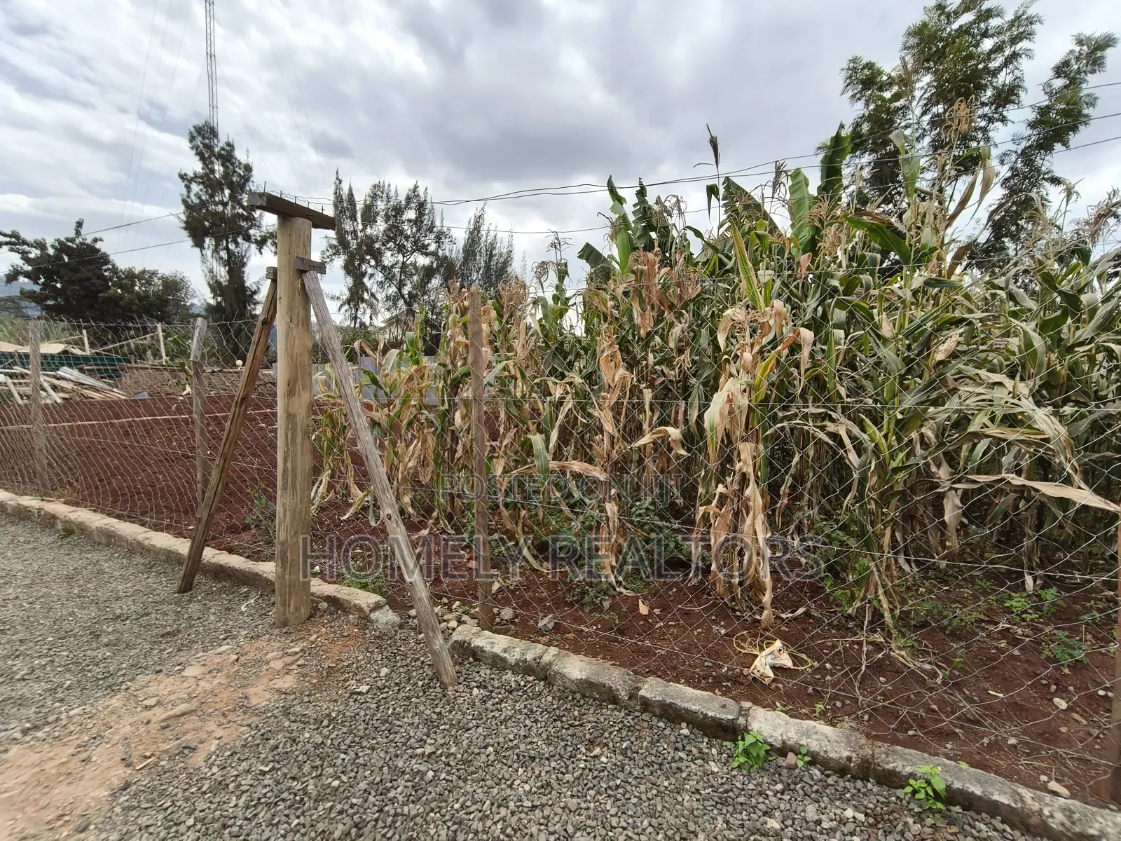 4bdrm Bungalow in Ngong With Rentals for sale
