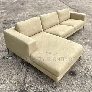Elegant and Classy Sofa