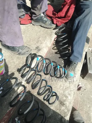 Honda Grace Coil Springs Each