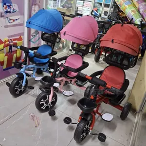 Tricycles With Push Handle and a Canopy