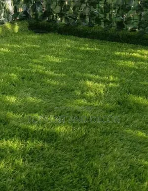 Add a Fresh Touch to Your Patio With Grass Carpet