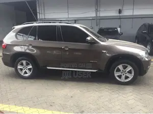 BMW X5 xDrive35i Sport Activity AWD (3.0L 6cyl 8A) 2013 Brown