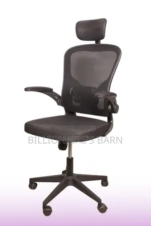 Office Chair: Mesh Office Chair With Ergonomic High-Back