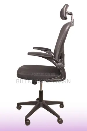Office Chair: Mesh Office Chair With Ergonomic High-Back