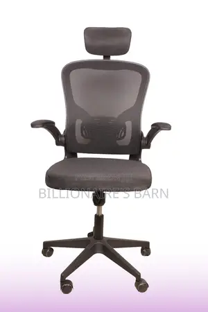 Office Chair: Mesh Office Chair With Ergonomic High-Back