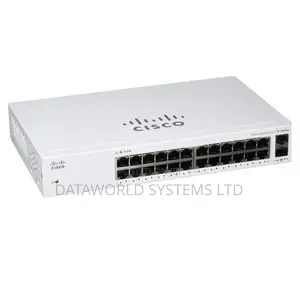 Cisco CBS Unmanaged 24-Port 2×1g SFP Gigabit Switch Non-Poe