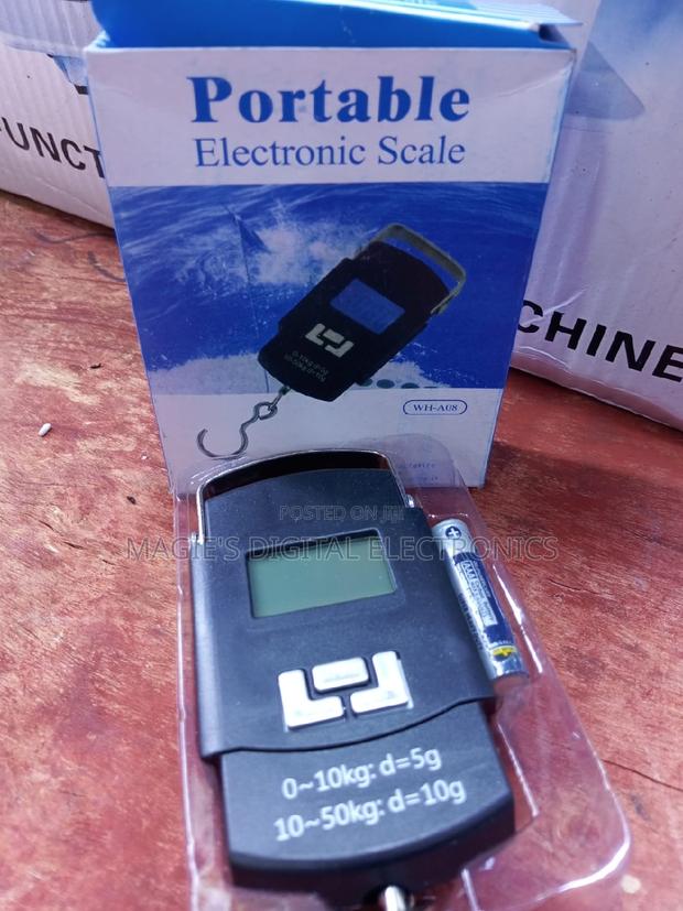 Most Affordable Portable Hanging Scale - main view