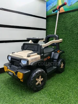 Ride-on Push Car