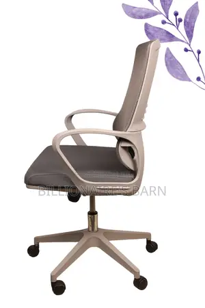 Chairs; Mesh Adjustable Office Chair and Lumbar Support