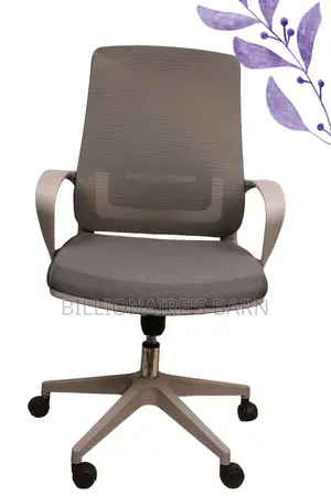 Chairs; Mesh Adjustable Office Chair and Lumbar Support