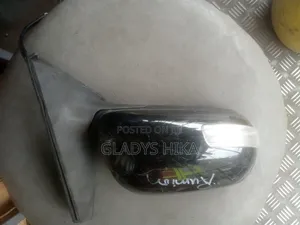 Rumion 2012 Side Mirror