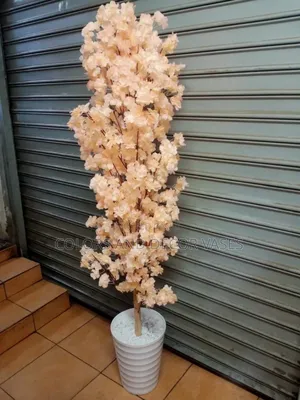 Peach Blossom Plant 1.7m Long
