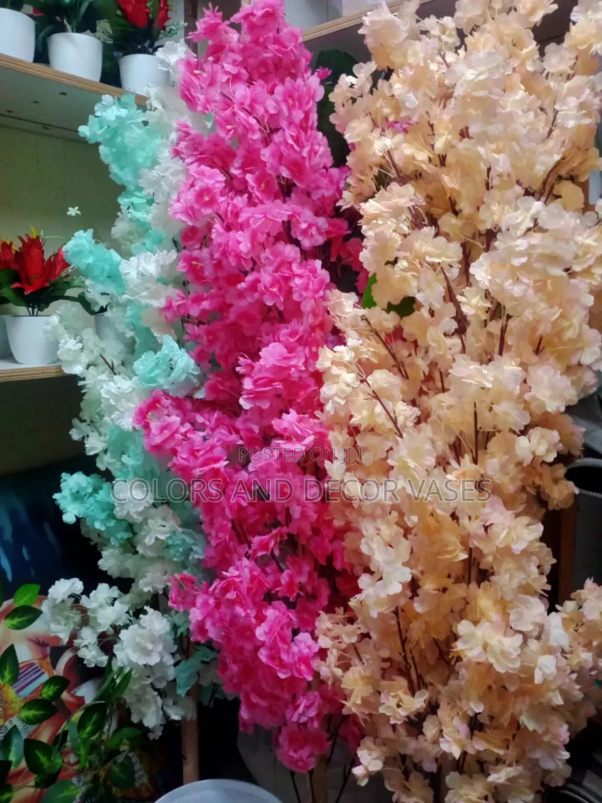 Blossom Plants Colors Available