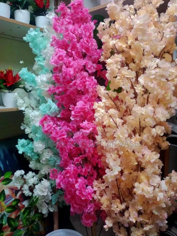 Blossom Plants Colors Available - main view
