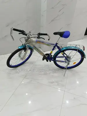 Victory 2401 Bike 24 Inch Multi-Gear