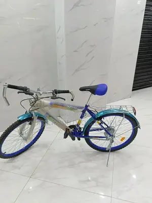 Victory 2401 Bike 24 Inch Multi-Gear