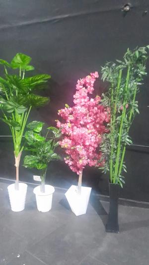 Tall Office Plants Indoor Decor - main view