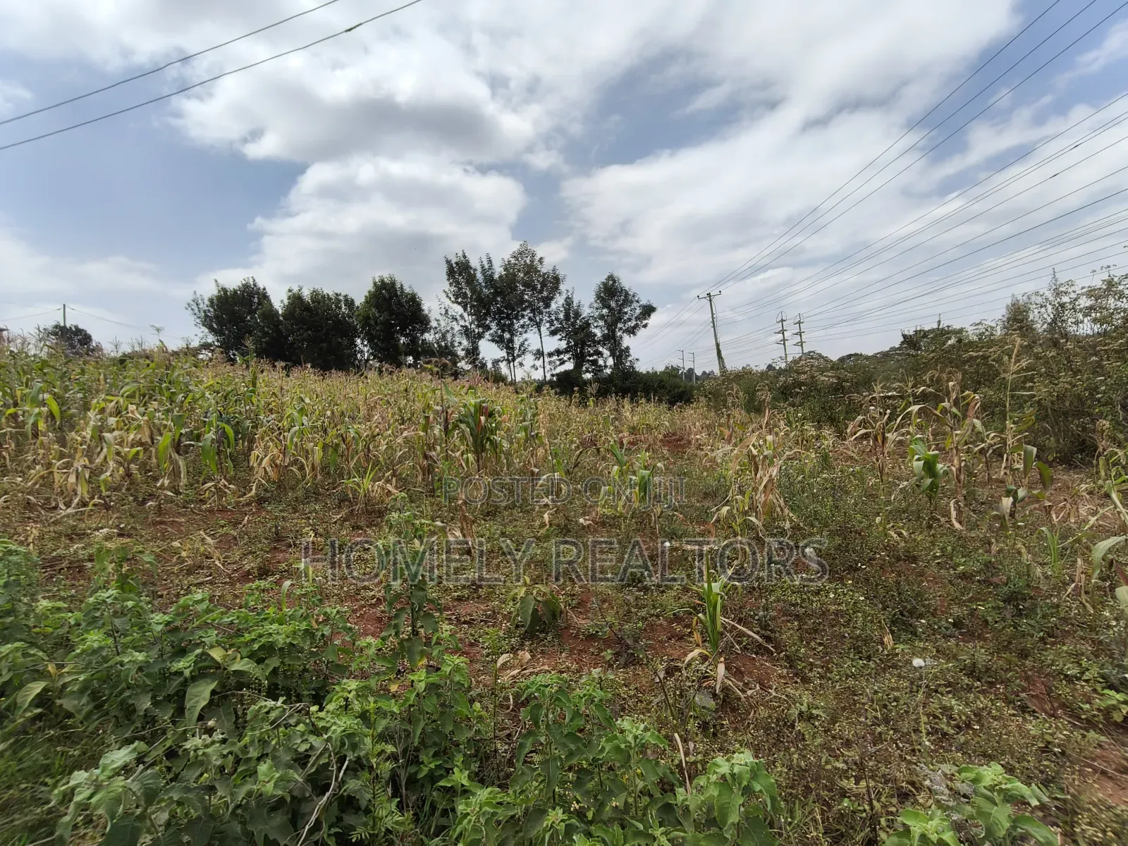 Half Acre Plot on Sale in Kibiku Touching Ngong-Suswa Road