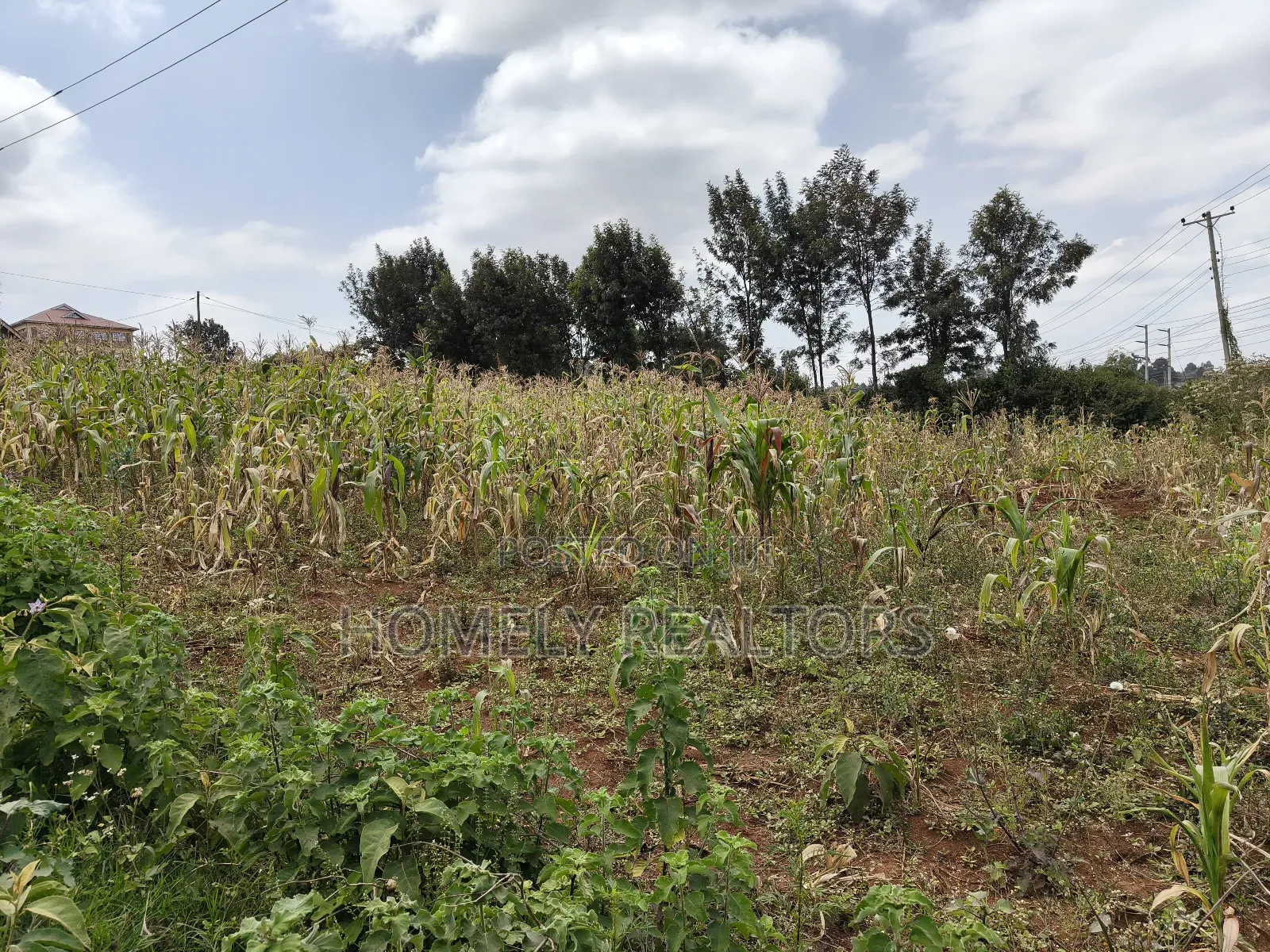 Half Acre Plot on Sale in Kibiku Touching Ngong-Suswa Road