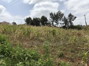Half Acre Plot on Sale in Kibiku Touching Ngong-Suswa Road