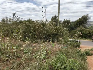 Half Acre Plot on Sale in Kibiku Touching Ngong-Suswa Road